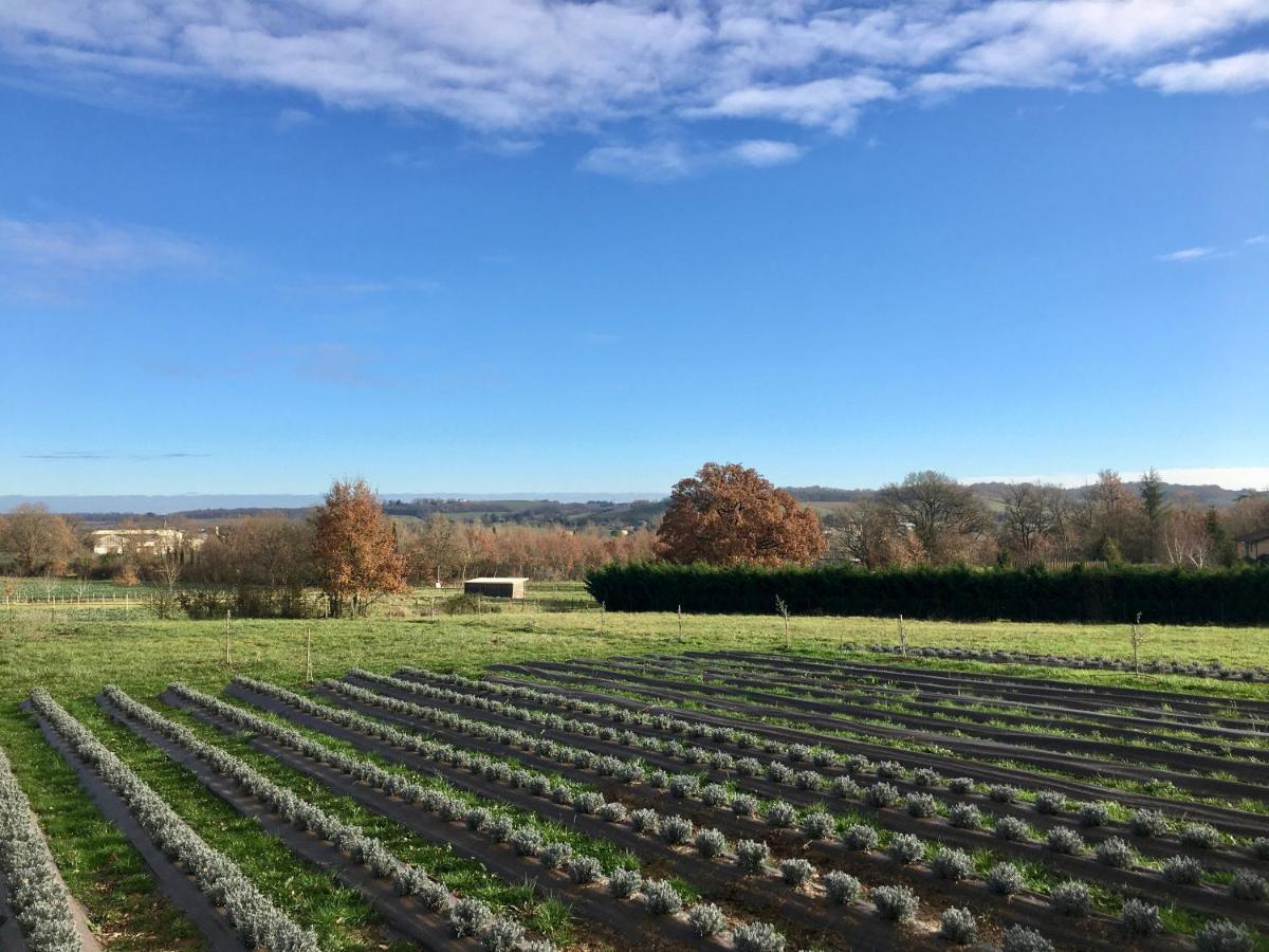 Domaine D'Elusa Vic-Fezensac Extérieur photo