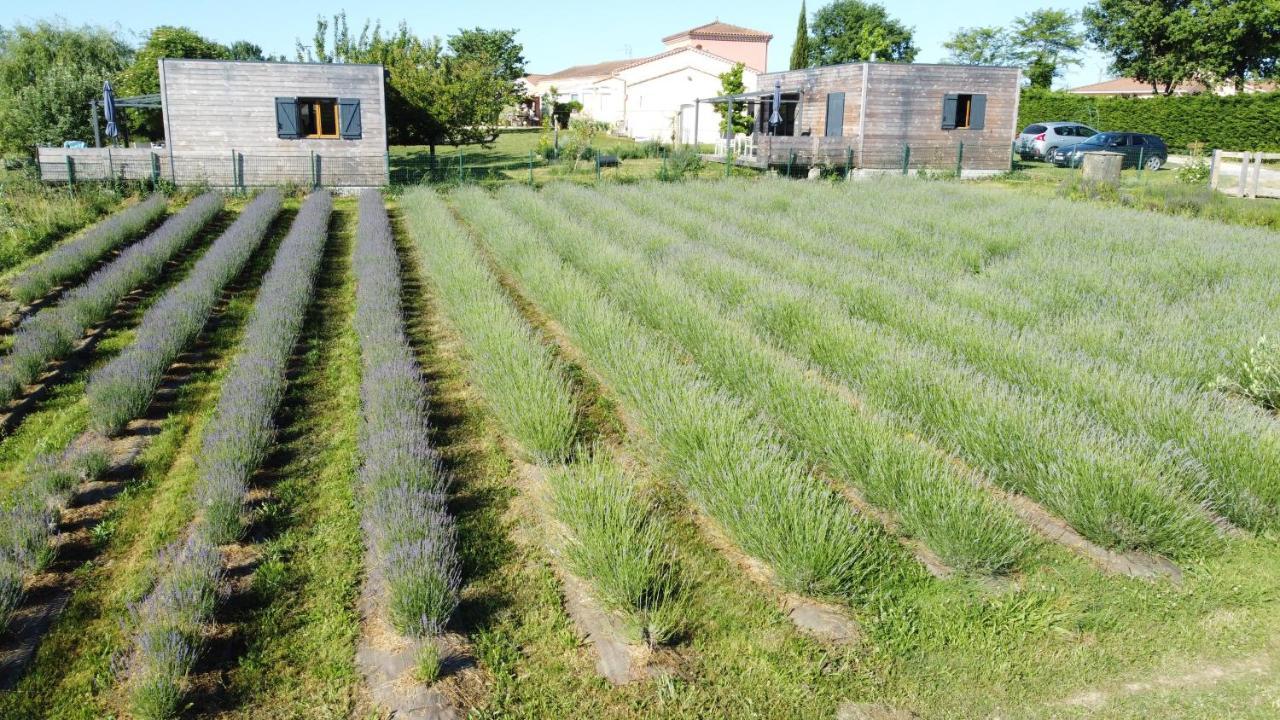 Domaine D'Elusa Vic-Fezensac Extérieur photo