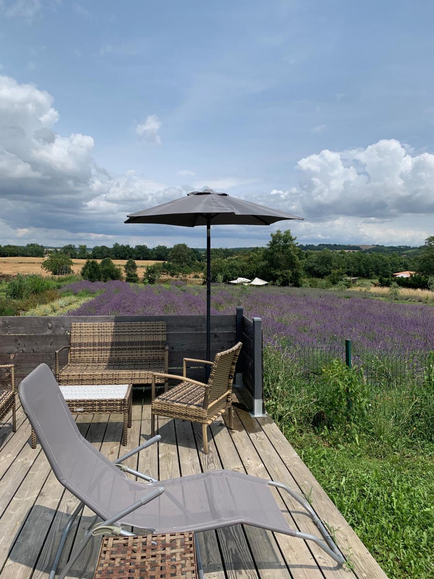 Domaine D'Elusa Vic-Fezensac Extérieur photo